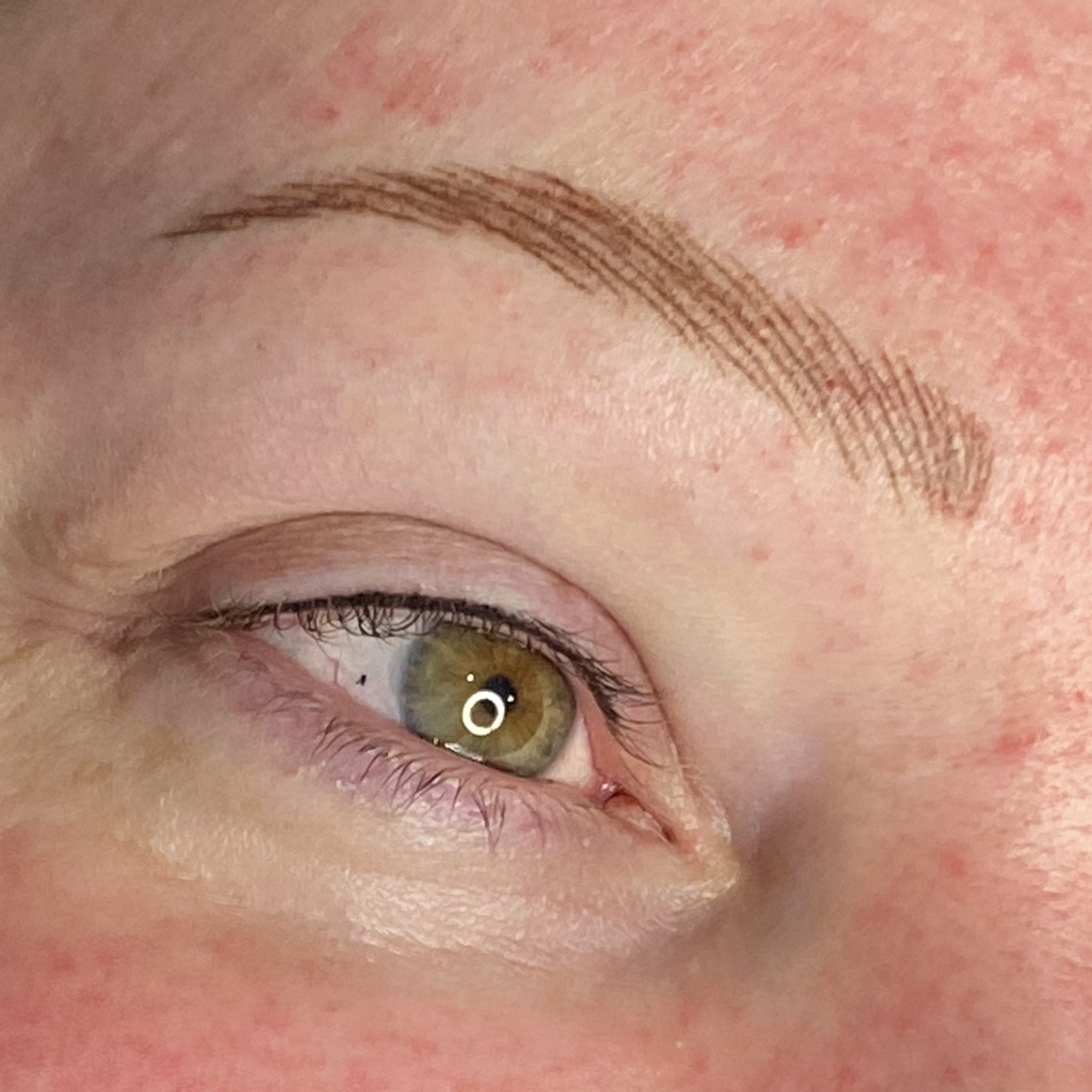 Microblading Vs Combination Brows : 3 clever ways to choose your ...